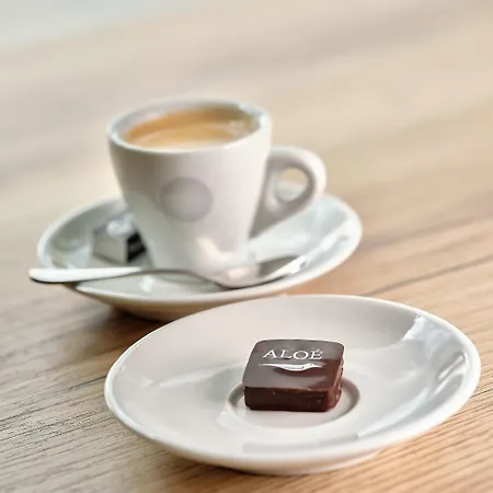 Szálloda Logis Restaurant Aloe 3*