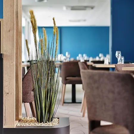 酒店 Logis Restaurant Aloe 莱塞比耶