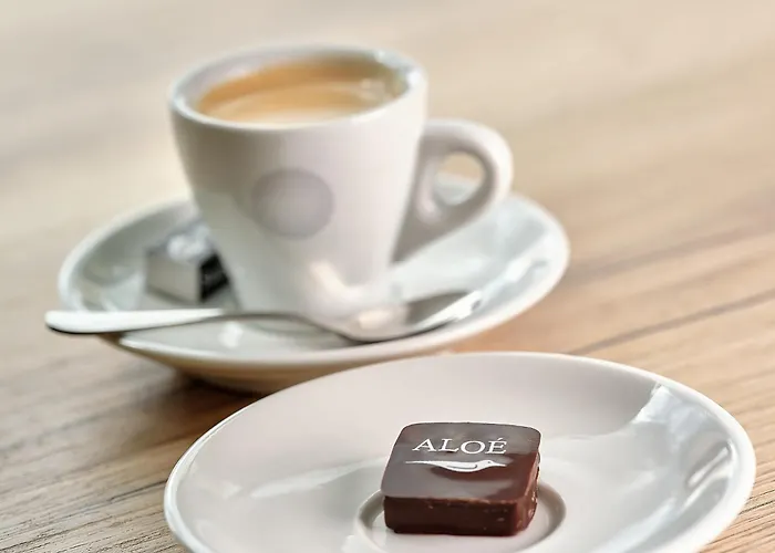 Hotel Logis Restaurant Aloe 3*